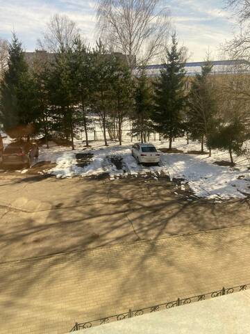 Двухместный номер с 1 кроватью и видом на парк в Гостинице Джаз